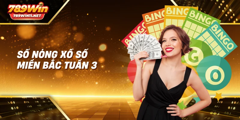 Số nóng xổ số miền Bắc Tuần 3