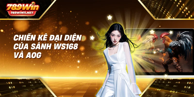 Chiến kê đại diện của sảnh WS168 và AOG