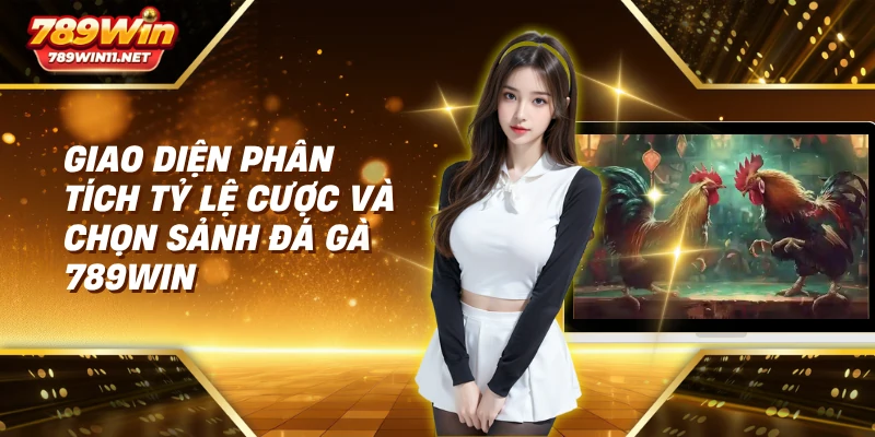 Giao diện phân tích tỷ lệ cược và chọn sảnh đá gà 789win