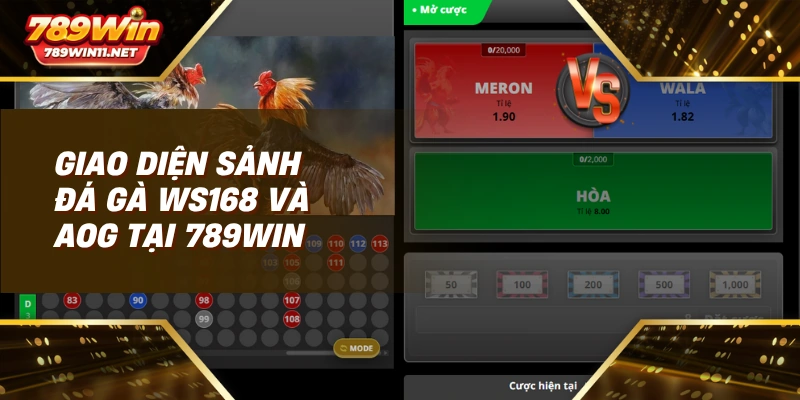 Giao diện sảnh đá gà WS168 và AOG tại 789win